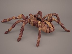 tarantula Model 3D