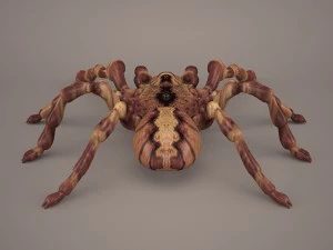 tarantula 3D Model