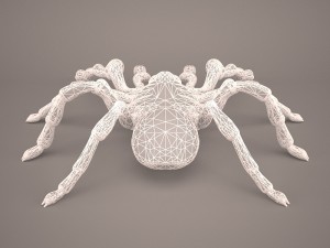 tarantula Model 3D