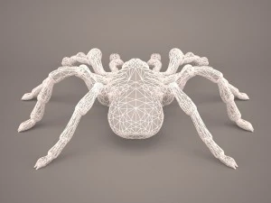 tarantula 3D Model