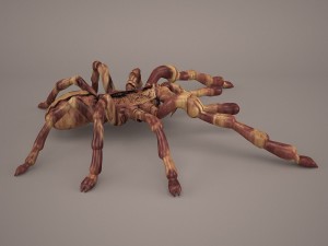 tarantula Model 3D