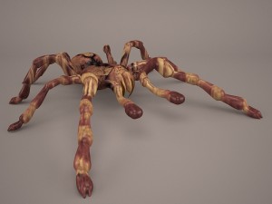 tarantula Model 3D