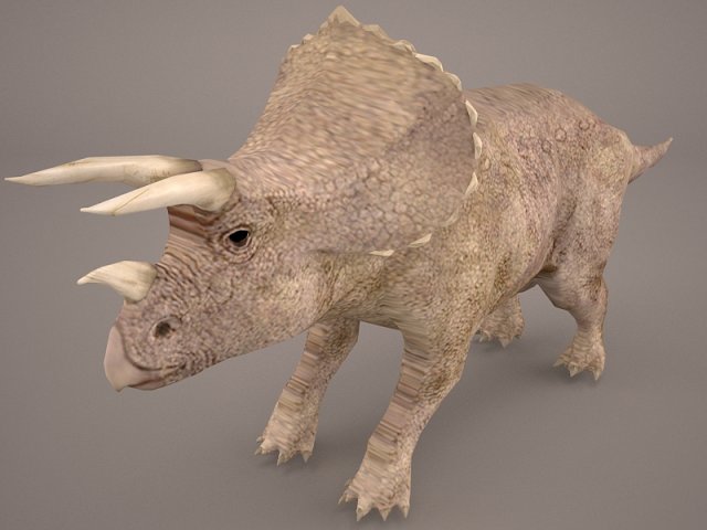 triceratops 3D 모델 .c4d .max .obj .3ds .fbx .stl .blend 