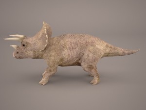 triceratops 3D 모델