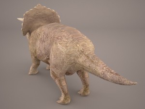 triceratops 3D 모델