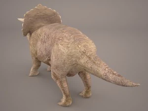 triceratops 3D Model