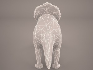 triceratops 3D 모델