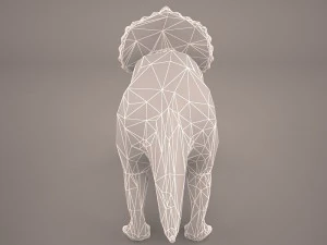 triceratops 3D Model