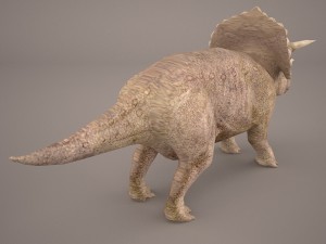 triceratops 3D 모델
