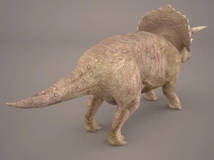 triceratops 3D Model