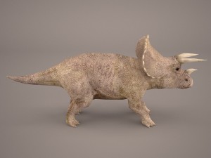 triceratops 3D 모델