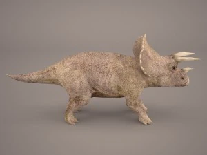 triceratops 3D Model