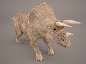 triceratops 3D 모델