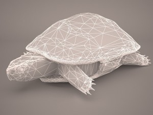 turtle 3Dモデル