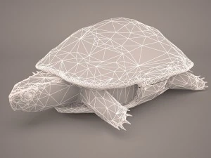 Schildkr&ouml;te 3D Modell