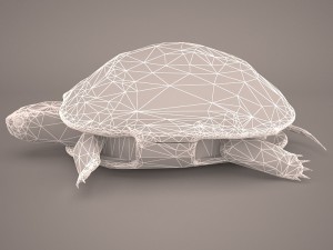 turtle 3Dモデル
