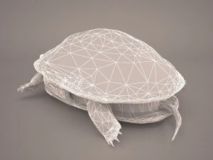 Schildkr&ouml;te 3D Modell