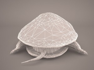 turtle 3Dモデル