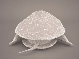 Schildkr&ouml;te 3D Modell