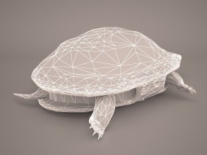 turtle 3Dモデル