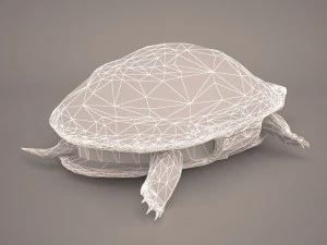 Schildkr&ouml;te 3D Modell