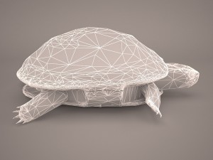 turtle 3Dモデル