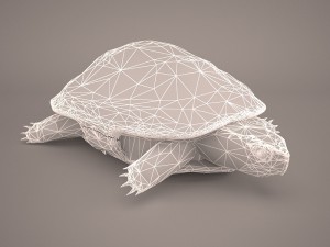 turtle 3Dモデル