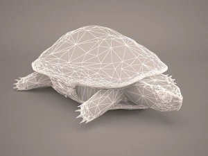 Schildkr&ouml;te 3D Modell