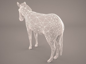 zebra Modèle 3D
