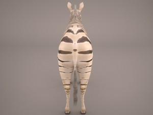 zebra Modèle 3D