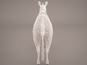 zebra Modèle 3D
