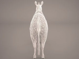 зебра 3D Модель
