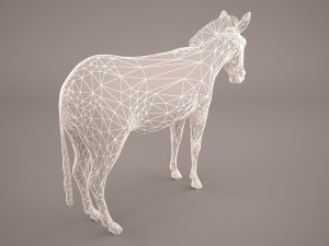 zebra Modèle 3D