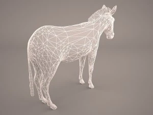 зебра 3D Модель