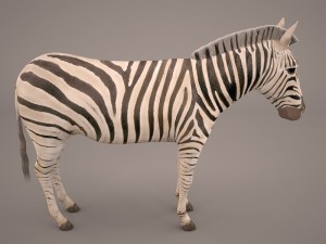 zebra Modèle 3D