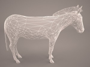 zebra Modèle 3D