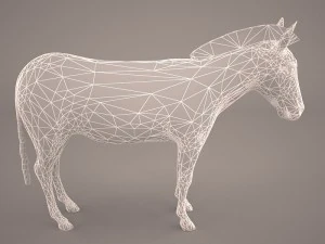 зебра 3D Модель