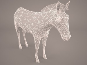 zebra Modèle 3D