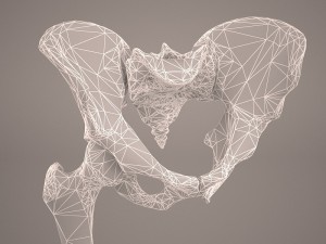 human male lower body skeleton 3D Модель