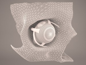 eye anatomy Model 3D