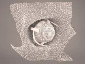 anatom&iacute;a del ojo Modelo 3D