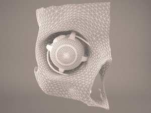 eye anatomy Model 3D