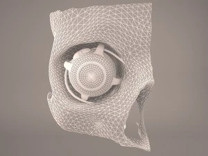 anatom&iacute;a del ojo Modelo 3D