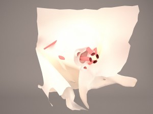 eye anatomy Model 3D