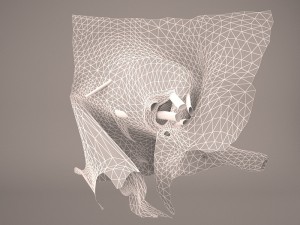 eye anatomy Model 3D