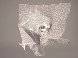 anatom&iacute;a del ojo Modelo 3D