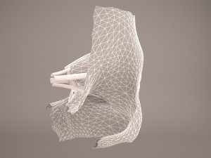 eye anatomy Model 3D