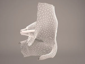 anatom&iacute;a del ojo Modelo 3D