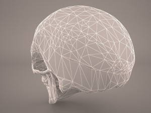 skull 3D Model