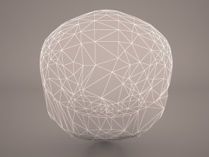 skull 3D Model